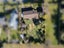 20 Woodside Road, Oxford, Oxford - Carousel 3