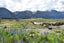33 OHAU DR, Lake Ōhau, LAKE OHAU - Carousel 8