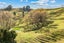 1350 State Highway 12, Oue, Kaikohe - Carousel 41