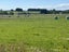 31 Woodlands Morton Mains Road, WOODLANDS, INVERCARGILL - Carousel 6