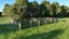 35 Ridgens Road, Christchurch - Carousel 33