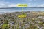 71 Beach Road, Te Atatu Peninsula, Auckland - Carousel 21