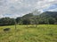 Lot 2, 675 Gorge Road, Maungaturoto, Kaipara, Northland - Carousel 26