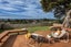 2 Lake Ora Road, Kamo, Whangarei - Carousel 24