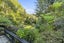 36 Buchanan Place, Sunnybrook, Rotorua - Carousel 6