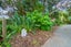 44 Ewing Road, Riverside, Whangarei - Carousel 17