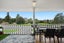 9 St Andrews Terrace, St Andrews, Hamilton - Carousel 8