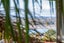 50A Waddell Avenue, Point England, Auckland - Carousel 8