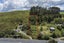3820 State Highway 1, Towai, Hikurangi - Carousel 12