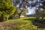 3 Monro Street, Blenheim, Blenheim - Carousel 21