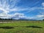 4578 State Highway 7, Blackball - Carousel 23