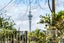 202/429 Parnell Road, Parnell, Auckland - Carousel 9