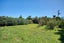 402 Kumara Junction Highway, Arahura Valley, Hokitika - Carousel 40
