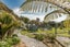 236 Alma Road, Westport - Carousel 16