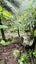 275 Lillis Lane, Coromandel, Coromandel - Carousel 31