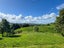 1556 Te Matai Road, Te Ranga, Te Puke - Carousel 29
