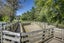 2412 Kahuranaki Road, Elsthorpe, Havelock North - Carousel 5