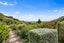 73 Morgans Valley, Heathcote Valley, Christchurch - Carousel 29