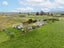 926 State Highway 5, Tapapa, Tirau, South Waikato, Waikato - Carousel 24