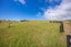 68 Tiro Kina Road, Tasman - Carousel 33