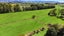 122 Otakiri Road, Edgecumbe, Whakatane - Carousel 41