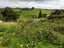 3820 State Highway 1, Towai, Hikurangi - Carousel 4