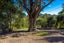 39 Whakarite Road, Ostend, Waiheke Island, Auckland - Carousel 26