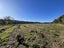 0 State Highway 7, Ikamatua, Blackball - Carousel 17