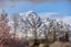 206 Dalefield Road, Dalefield, Queenstown - Carousel 25