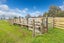 53 Hairini Road, Kihikihi, Te Awamutu - Carousel 31
