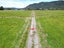 0 State Highway 6, Barrytown, Greymouth - Carousel 8