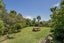 206 Colville Road, Coromandel - Carousel 20