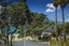 22 Park Avenue, Takapuna, Auckland - Carousel 30