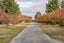 37 Alessio Lane, Swannanoa, Swannanoa - Carousel 47