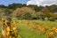 460 Matakana Road, Matakana, Rodney, Auckland - Carousel 6
