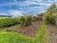 31 Mataora Road, Kenmure, Dunedin - Carousel 21
