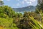 38 Ocean Road, Waiheke Island, Waiheke Island - Carousel 5
