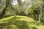 53 Marua Road, Hikurangi, Hikurangi - Carousel 35