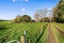 1/432 Te Mawhai Road, Tokanui, Te Awamutu - Carousel 12