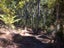 15 Waterview Place, Haruru, Haruru - Carousel 5