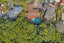 8 Deodar Place, Totara Heights, Auckland - Carousel 2