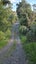180 Noakes Hill Road, Silverdale - Carousel 48