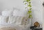88B Nelson Street, Howick, Auckland - Carousel 20