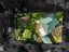 33 District Road, Roseneath, Port Chalmers - Carousel 23