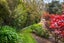 252 Masterton Stronvar Road, Te Ore Ore, Masterton - Carousel 26