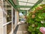 723B Te Atatu Road, Te Atatu Peninsula, Auckland - Carousel 3