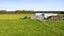 957 Main Road, ONAERO, WAITARA - Carousel 41