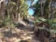 415A State Highway 10, Cable Bay, Far North, Northland - Carousel 15
