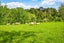 46 Wilson Road, Warkworth, Warkworth - Carousel 3