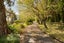 42 Walker Road East, Aongatete, Aongatete - Carousel 4